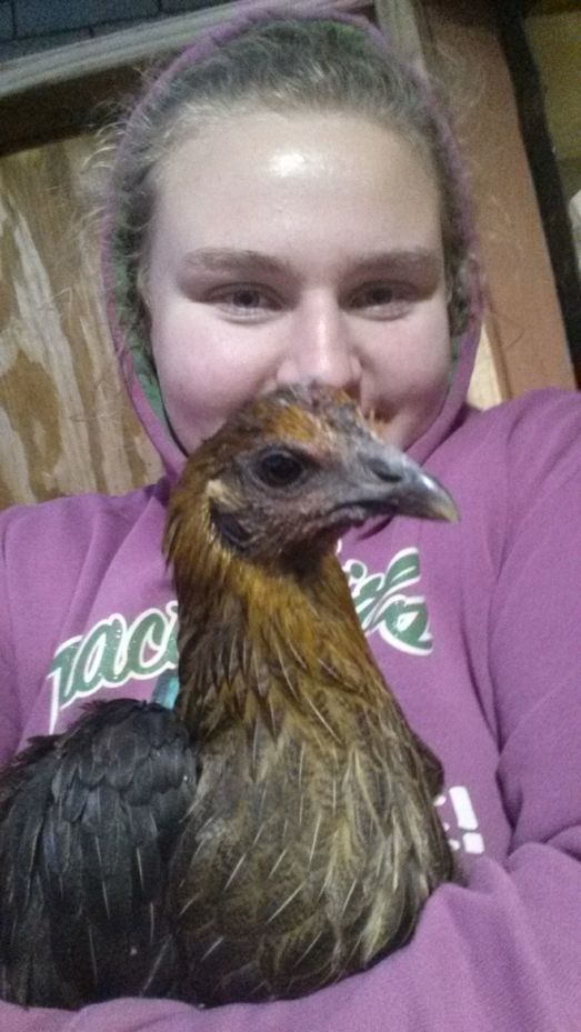Farm life