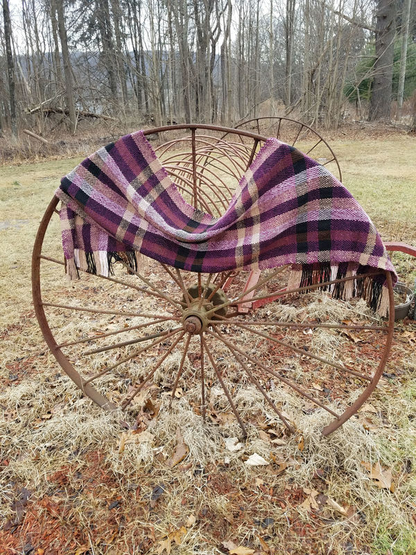 Plaid shawl on an antique hay rake